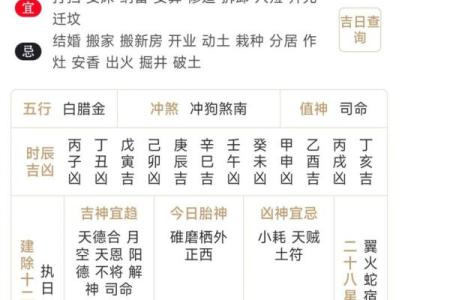 探索辛丑年十月十五出生的命理特征与人生运势