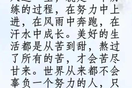 探秘命运的真谛:天生的命与人生的选择