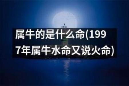 探寻十二生肖的水命之谜:为何只有水命成就独特个性?