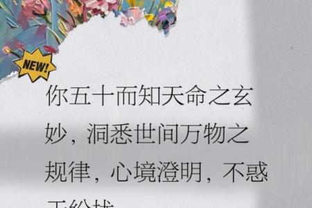 探索女命天辅的奥秘与智慧,揭示女性命运的独特之道