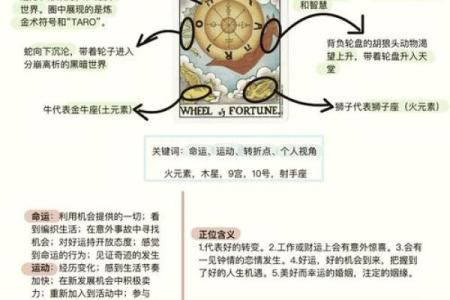 姓名中的“明”字揭示了命运的奥秘与智慧的光辉